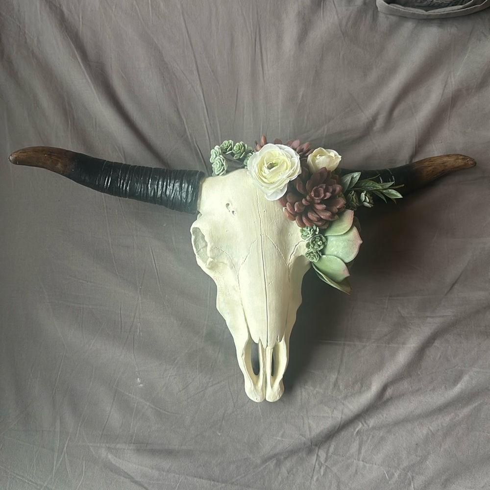 Decorative Cow Skull with Succulents